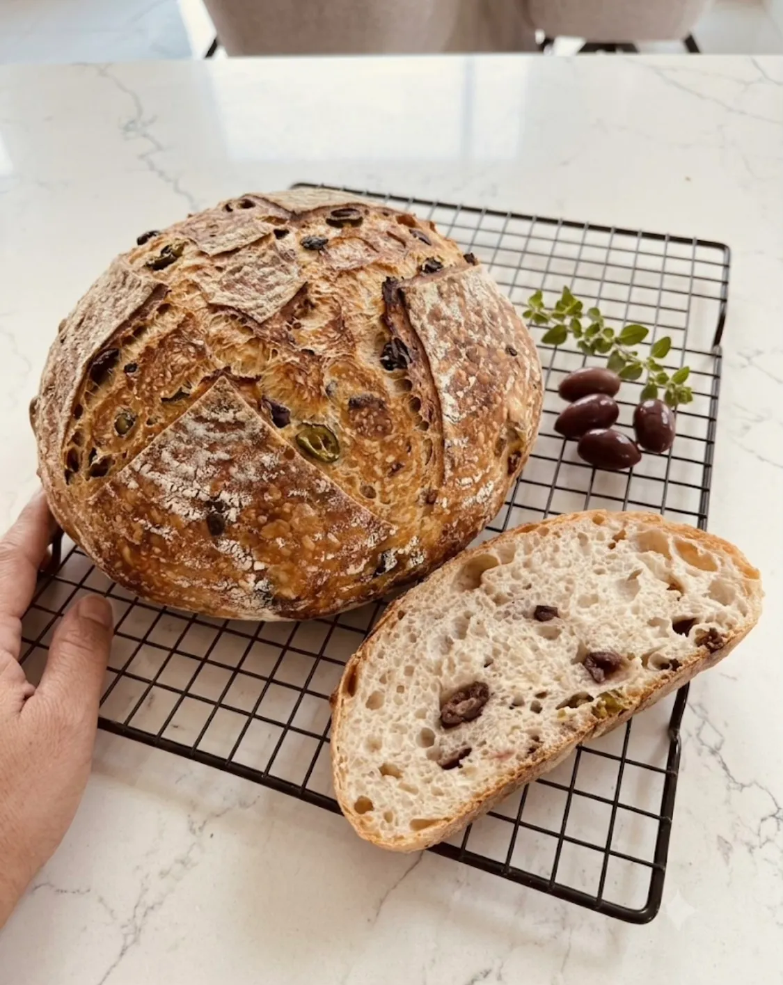 Kalamata Olive  Sourdough