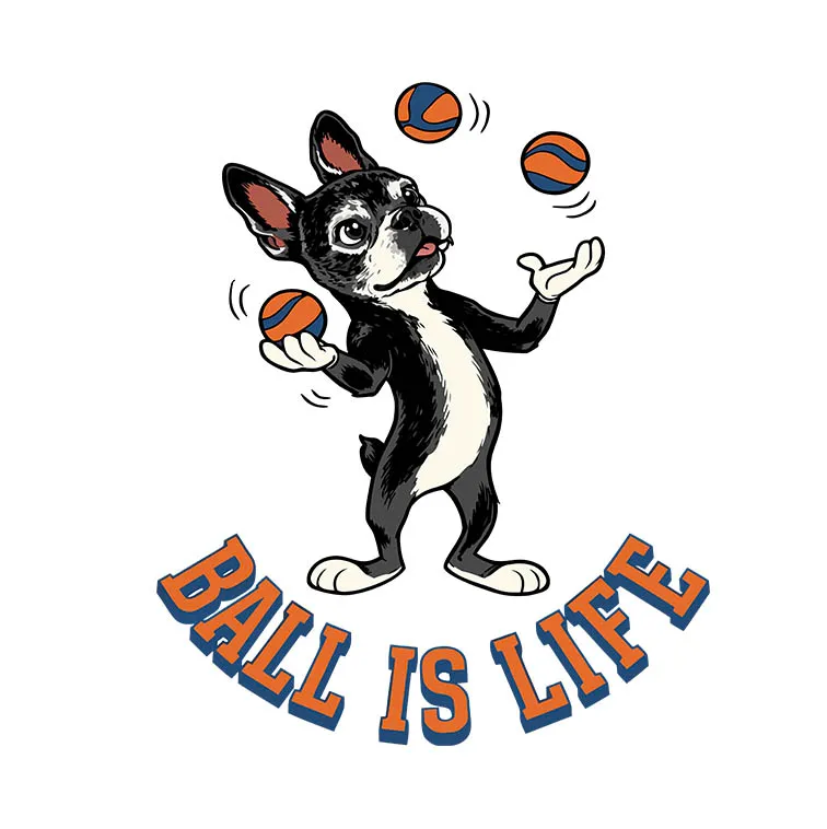"Ball is Life"