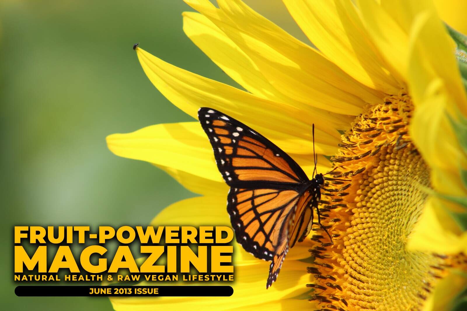 Fruit-Powered Magazine: June 2013