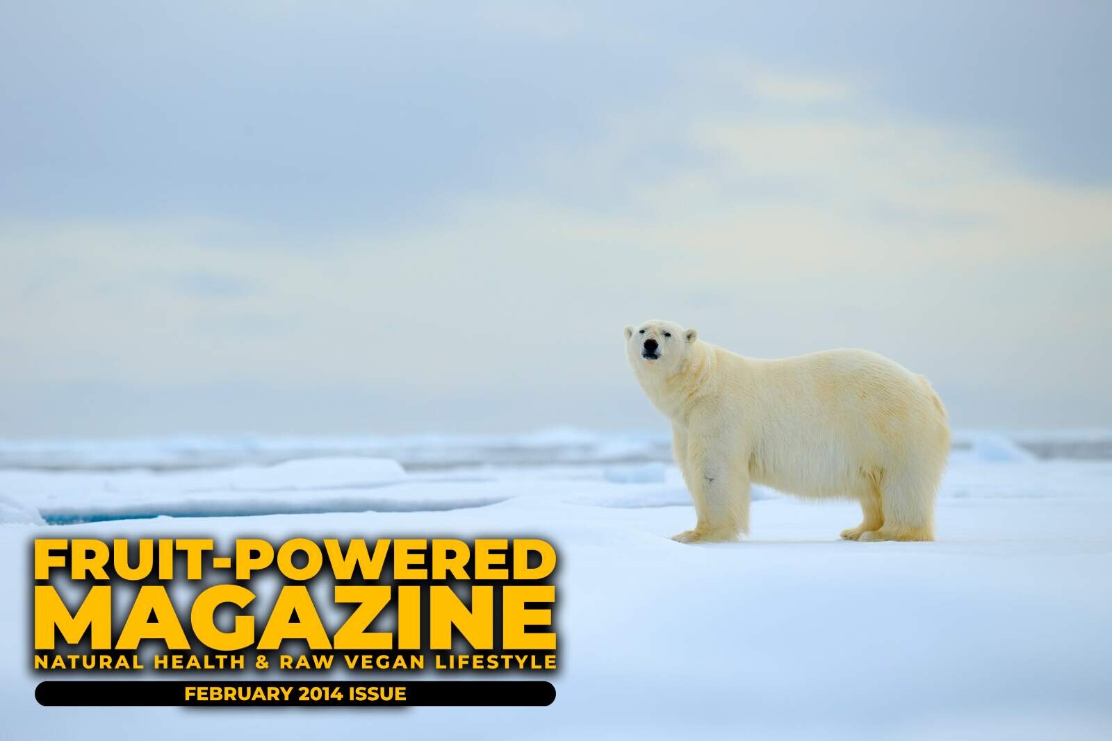 Fruit-Powered Magazine: February 2014