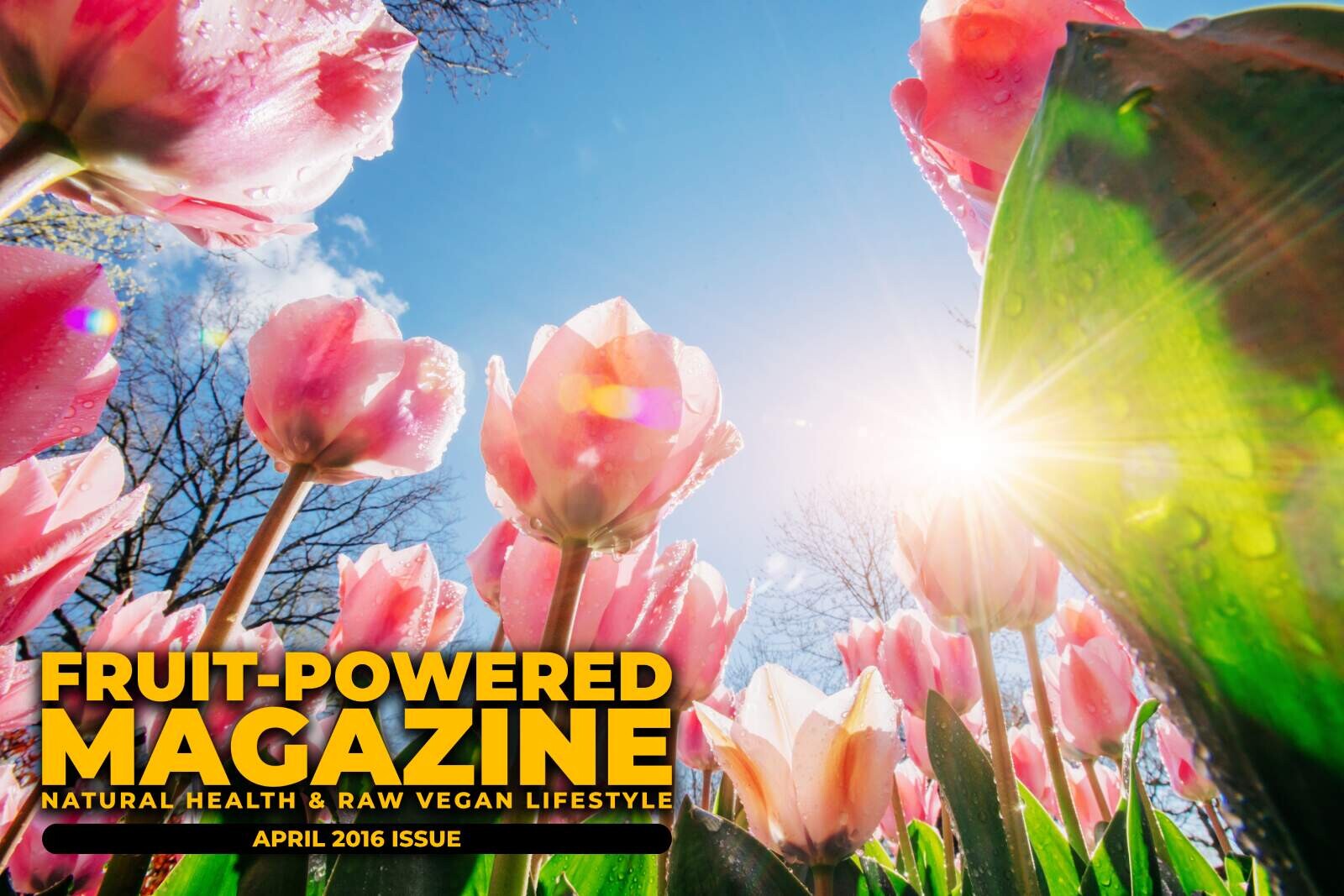 Fruit-Powered Magazine: April 2016