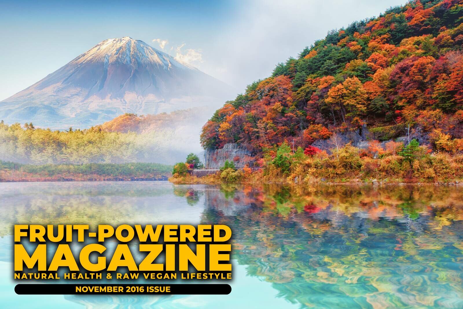 Fruit-Powered Magazine: November 2016