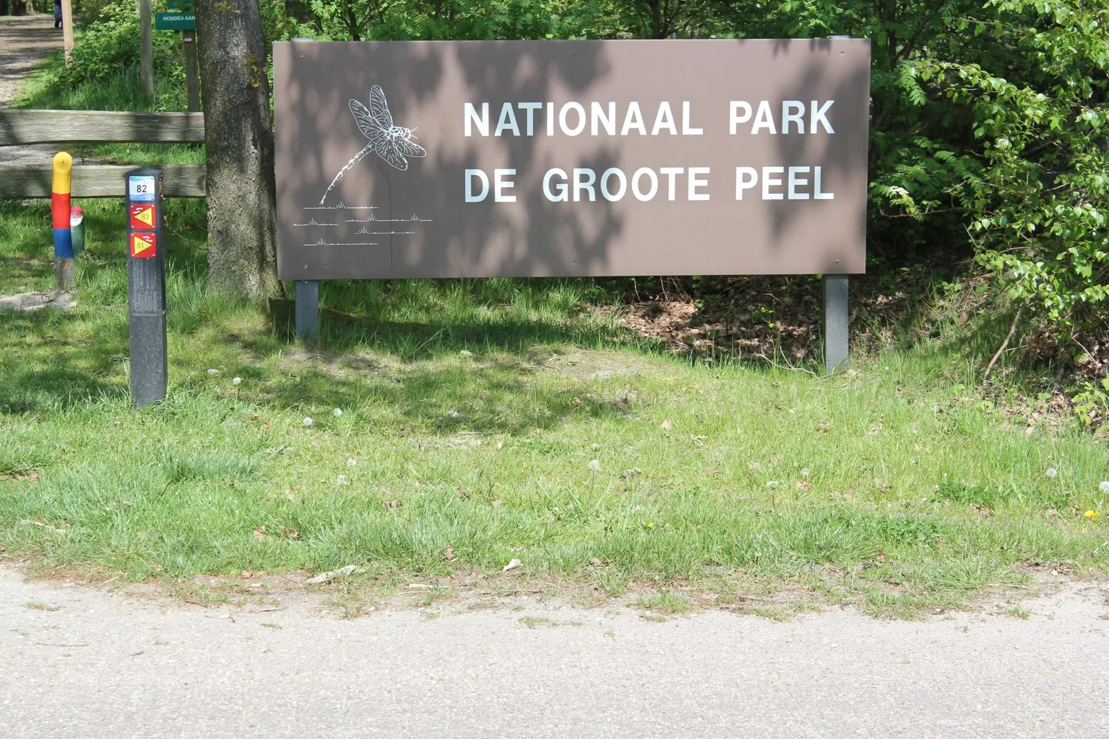Op pad met een kompas: de winterwandeling